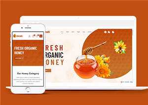 农家蜂蜜网上销售HTML5模板下载 - 灵魂源码网-网站搭建教学-软件开发-小程序源码