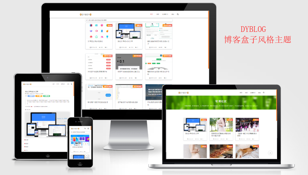 Emlog主题-DYBLOG 个人博客主题模版 - 灵魂源码网-网站搭建教学-软件开发-小程序源码