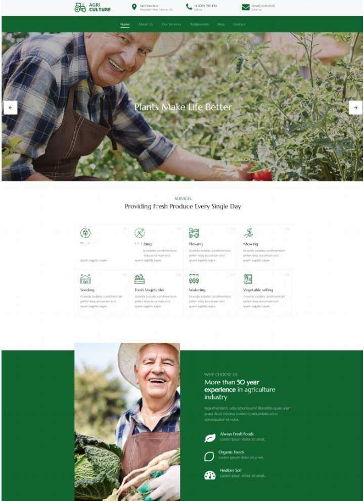 Bootstrap绿色有机果蔬农场html模板 - 灵魂源码网-网站搭建教学-软件开发-小程序源码