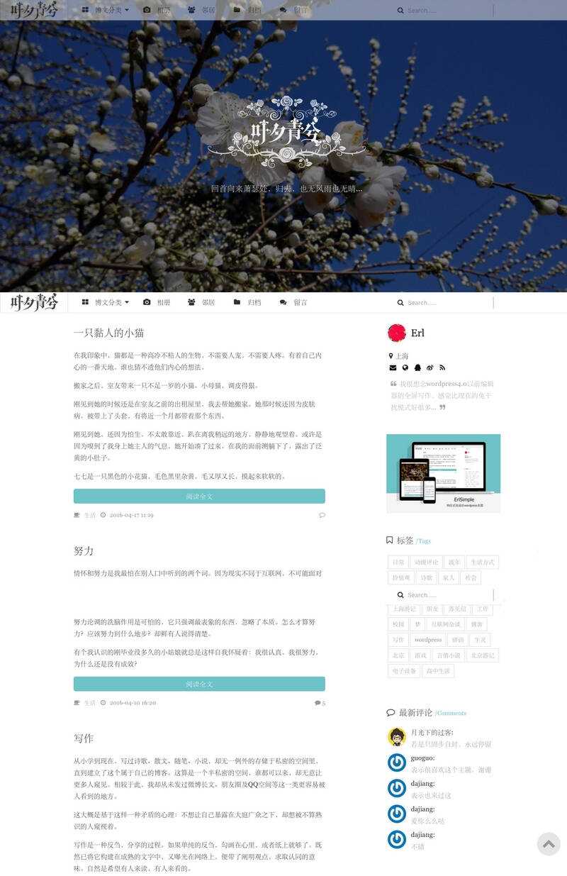 wordpress极简优秀的博客主题–ErlSimpleV1.5主题 - 灵魂源码网-网站搭建教学-软件开发-小程序源码