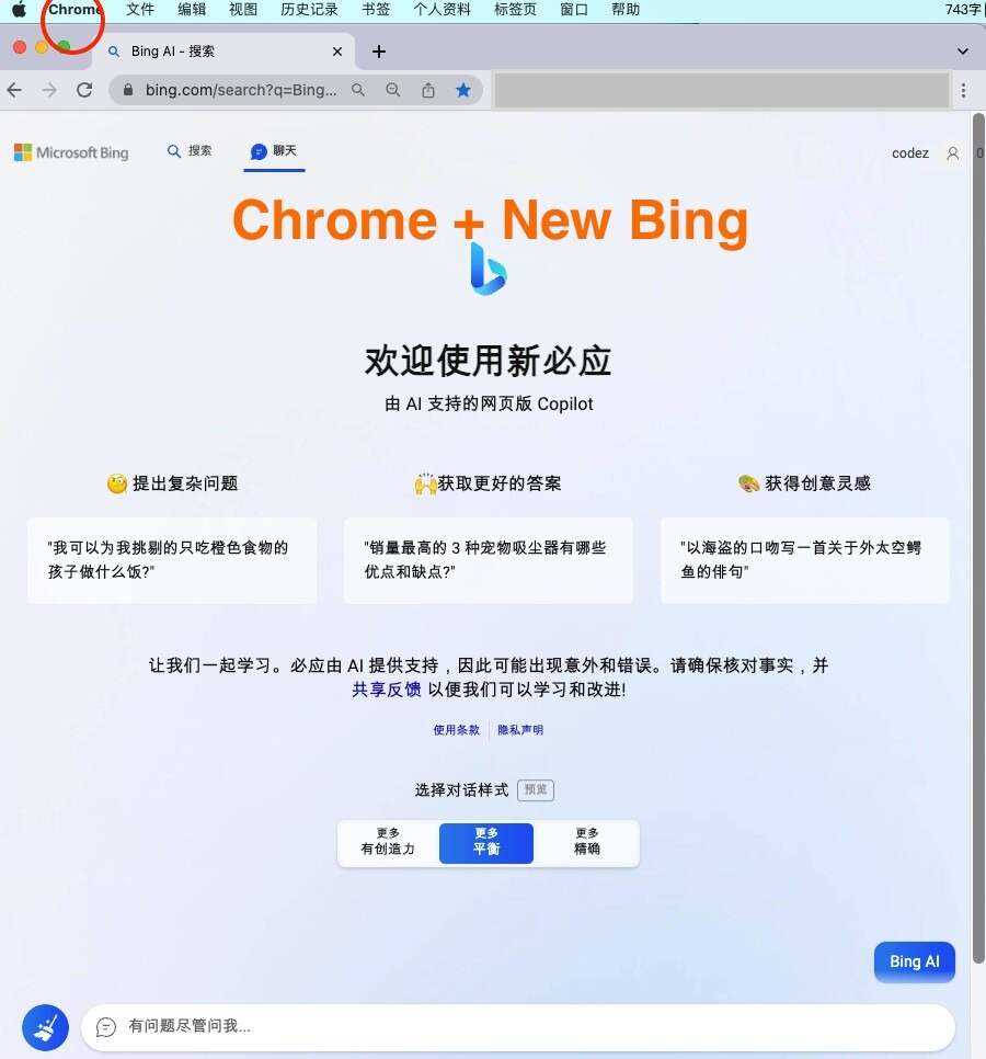 微软New Bing完美聊天机器人源码，支持ChatGPT提示词 国内可用，基本兼容微软 Bing AI 所有功能 - 灵魂源码网-网站搭建教学-软件开发-小程序源码