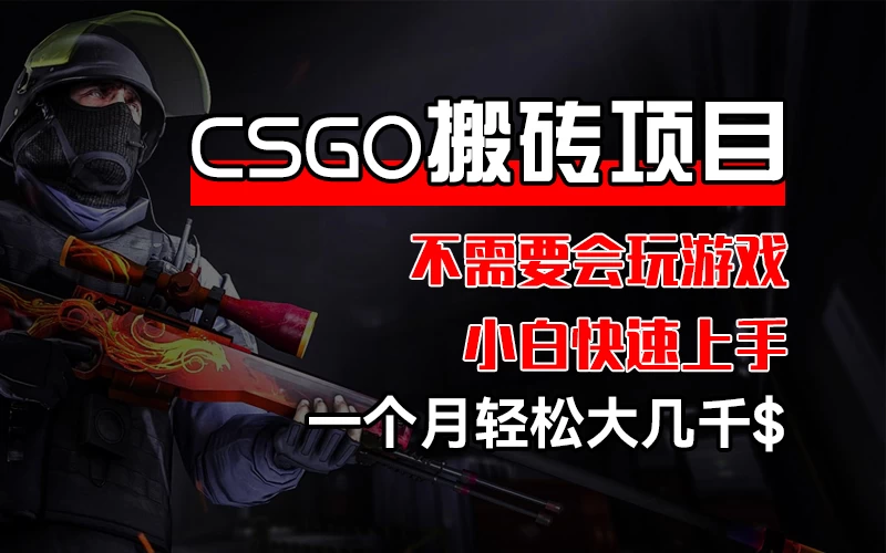 CSGO 装备搬砖项目，操作简单，不需要会玩游戏，小白也能快速上手，一个月轻松大几千 - 灵魂源码网-网站搭建教学-软件开发-小程序源码