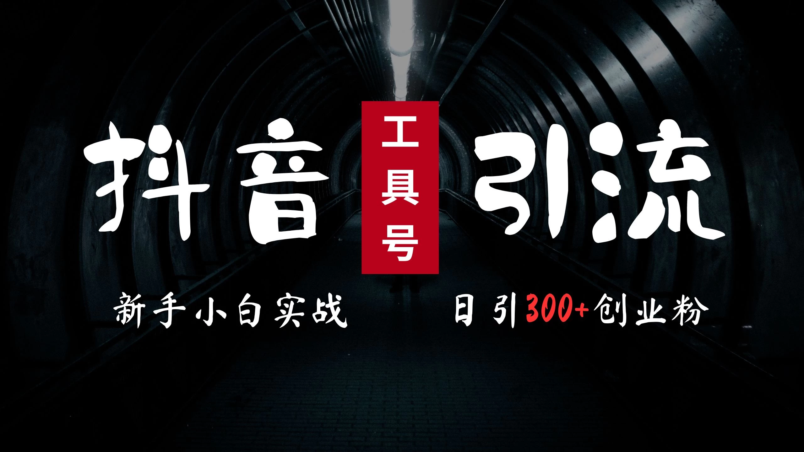 2024最新抖音工具号引流玩法,高效日引300+创业粉,当天变现5000+,小白也可成为实战高手 - 灵魂源码网-网站搭建教学-软件开发-小程序源码