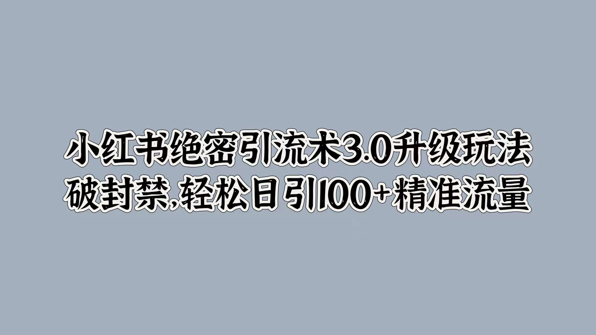 小红书绝密引流术3.0升级玩法，破封禁，轻松日引100+精准流量 - 灵魂源码网-网站搭建教学-软件开发-小程序源码