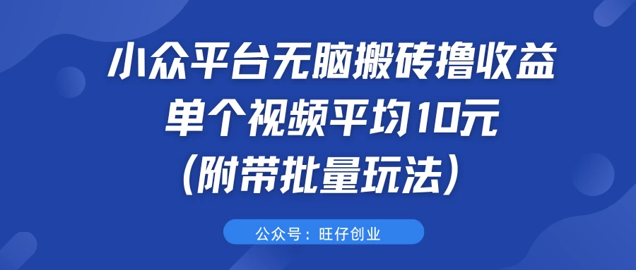 小众平台无脑搬砖撸收益，单个视频平均10元 (附带批量玩法） - 灵魂源码网-网站搭建教学-软件开发-小程序源码