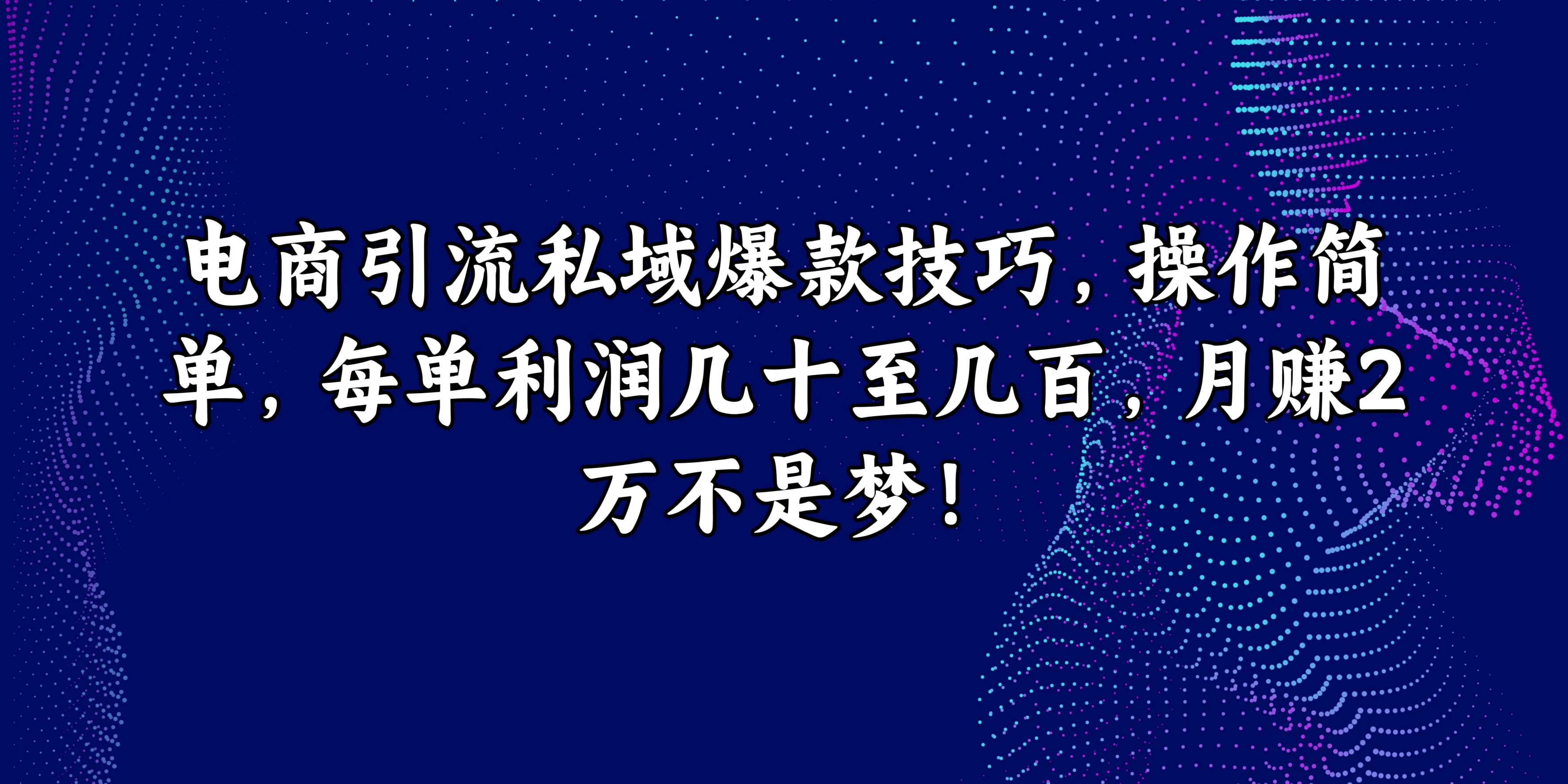 电商引流私域爆款技巧，操作简单，每单利润几十至几百，月赚2万不是梦！ - 灵魂源码网-网站搭建教学-软件开发-小程序源码