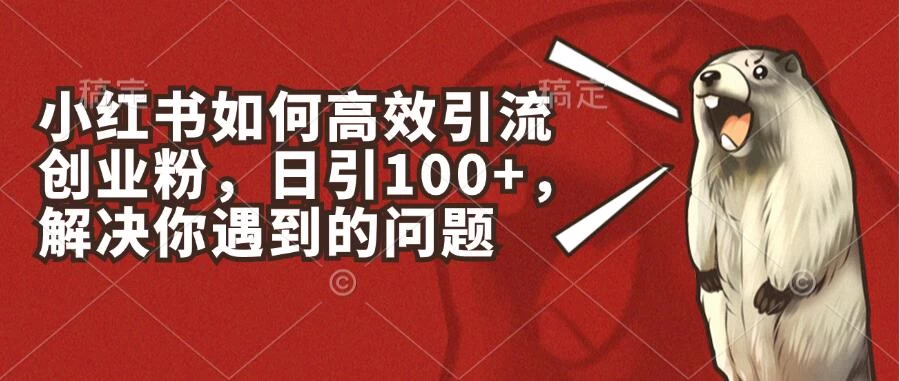 小红书如何高效引流创业粉，日引100+，解决你遇到的问题 - 灵魂源码网-网站搭建教学-软件开发-小程序源码