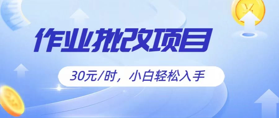 作业批改项目30元/时，小白轻松入手，非常的简单 - 灵魂源码网-网站搭建教学-软件开发-小程序源码