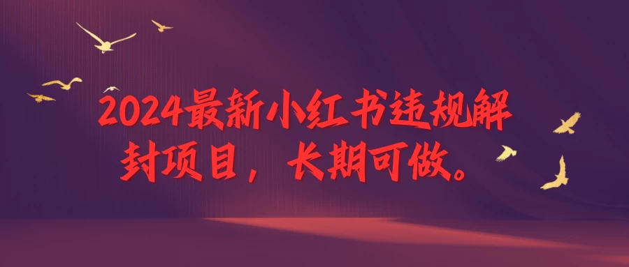 2024最新小红书违规解封项目，一个可以做到退休的项目 - 灵魂源码网-网站搭建教学-软件开发-小程序源码