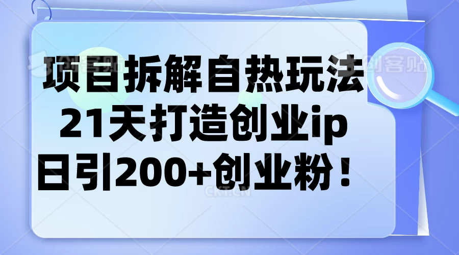 项目拆解自热玩法，21天打造创业IP，日引200+创业粉 - 灵魂源码网-网站搭建教学-软件开发-小程序源码