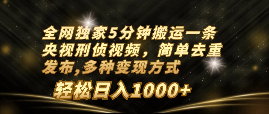 全网独家5分钟搬运一条央视刑侦视频,简单去重发布,多种变现方式,轻松日入1000+ - 灵魂源码网-网站搭建教学-软件开发-小程序源码
