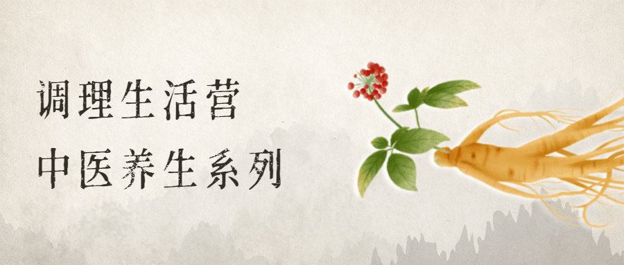 调理生活营：中医养生系列 - 灵魂源码网-网站搭建教学-软件开发-小程序源码