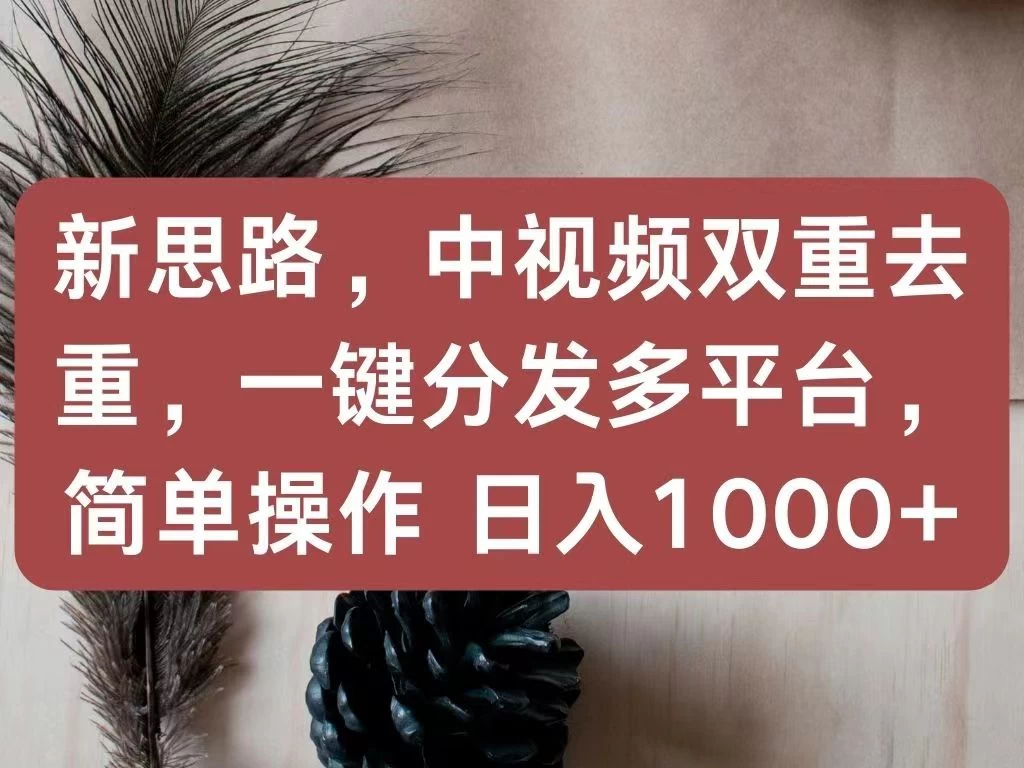 新思路,中视频双重去重,一键分发多平台,简单操作,日入1000+!快来试试吧! - 灵魂源码网-网站搭建教学-软件开发-小程序源码