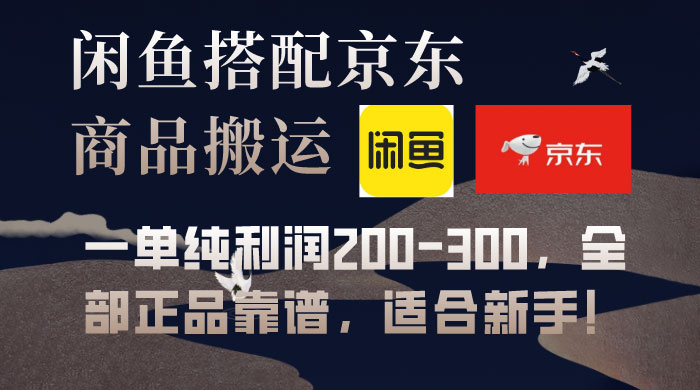 闲鱼搭配京东备份库搬运，一单纯利润 200-300，全部正品靠谱，适合新手！ - 灵魂源码网-网站搭建教学-软件开发-小程序源码