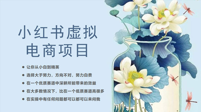 小红书虚拟电商从 0 到 1 :让你从小白到精英( 20 节实操课程) 小红书虚拟电商从 0 到 1 :让你从小白到精英( 20 节实操课程)
