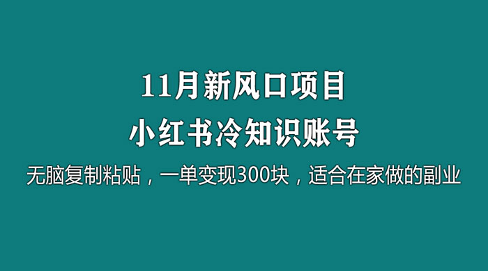 11 月新风口项目，小红书冷知识账号，无脑复制粘贴，一单变现 300 块，适合在家做的副业 - 灵魂源码网-网站搭建教学-软件开发-小程序源码