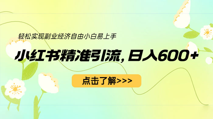 小红书精准引流：轻松实现副业经济自由（教程 + 1153G 资源） - 灵魂源码网-网站搭建教学-软件开发-小程序源码