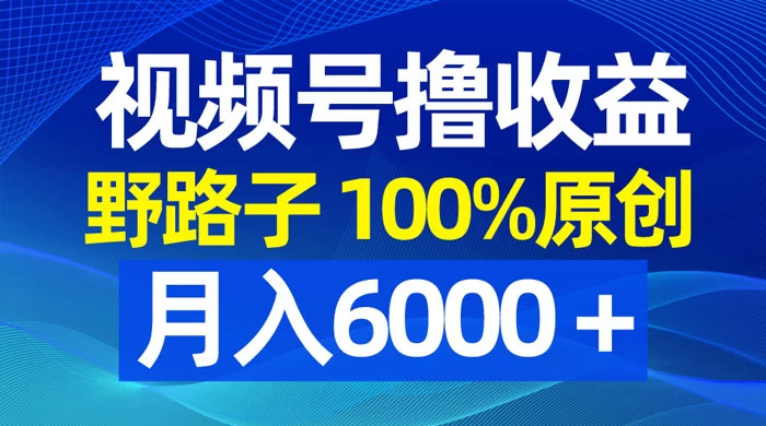 视频号野路子撸收益,100% 原创,条条爆款,月入 6000+ - 灵魂源码网-网站搭建教学-软件开发-小程序源码
