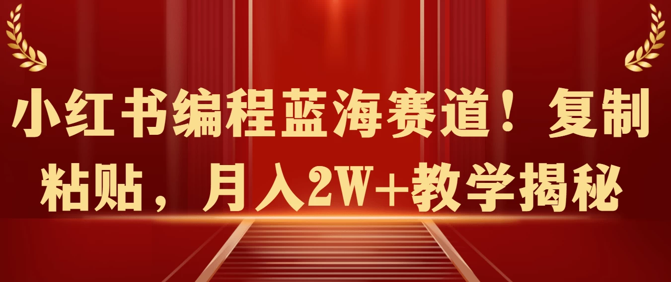 小红书编程蓝海赛道！复制粘贴，月入2W+教学揭秘 - 灵魂源码网-网站搭建教学-软件开发-小程序源码