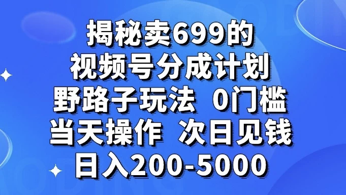 揭秘卖 699 的视频号分成计划野路子玩法，日入 200-5000，0 门槛，当天操作，次日见钱 - 灵魂源码网-网站搭建教学-软件开发-小程序源码