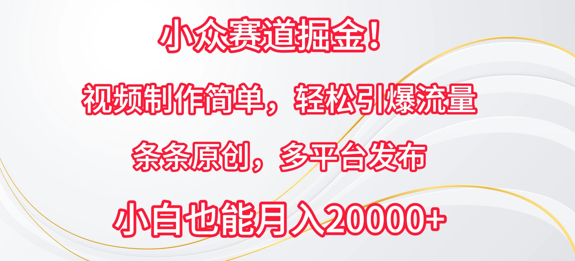 小众赛道掘金!视频制作简单,轻松引爆流量,条条原创,多平台发布,小白也能月入20000+ - 灵魂源码网-网站搭建教学-软件开发-小程序源码