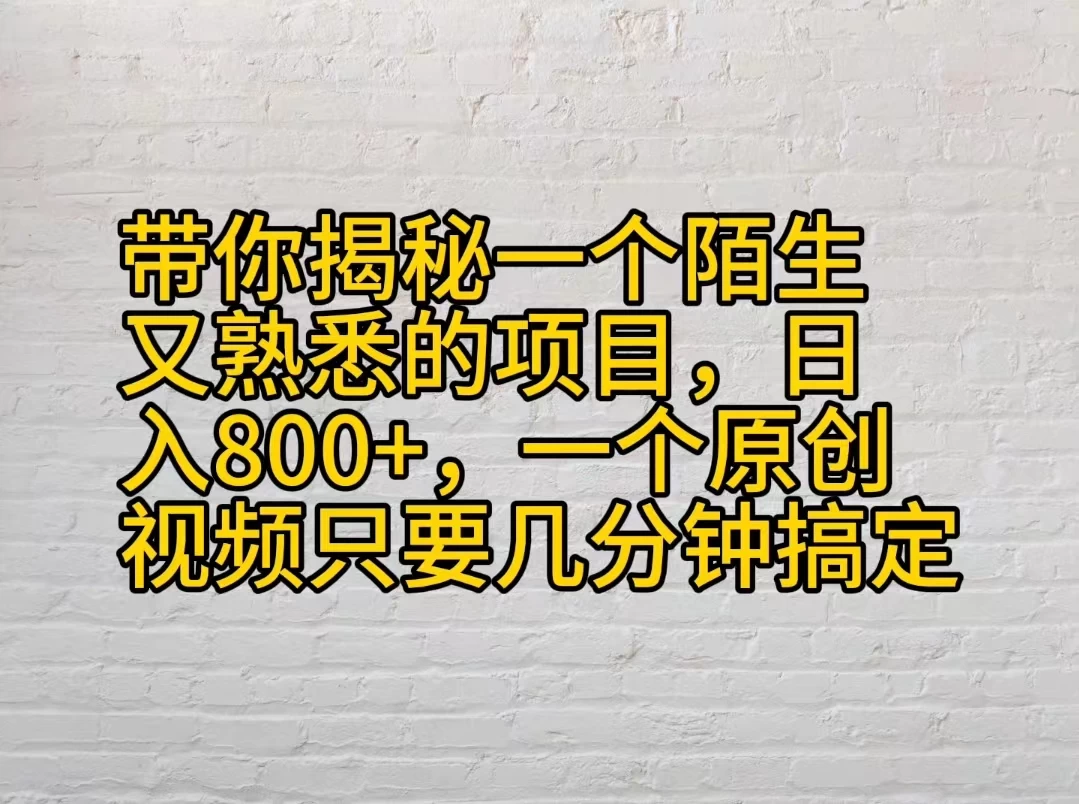 带你揭秘一个陌生又熟悉的项目，日入800+，一个原创视频只要几分钟搞定 - 灵魂源码网-网站搭建教学-软件开发-小程序源码