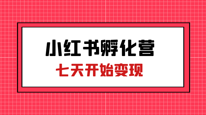 价值 2000+ 的小红书孵化营项目，超级大蓝海，七天即可开始变现，稳定月入 1W+ - 灵魂源码网-网站搭建教学-软件开发-小程序源码
