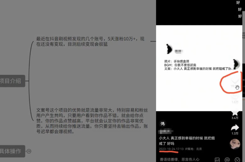 图片[2] - 最新抖音暴力文案号，五天涨粉 10w+，喂饭级拆解教学 - 灵魂源码网-网站搭建教学-软件开发-小程序源码