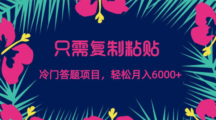 只需复制粘贴,冷门答题项目,轻松月入 6000 - 灵魂源码网-网站搭建教学-软件开发-小程序源码