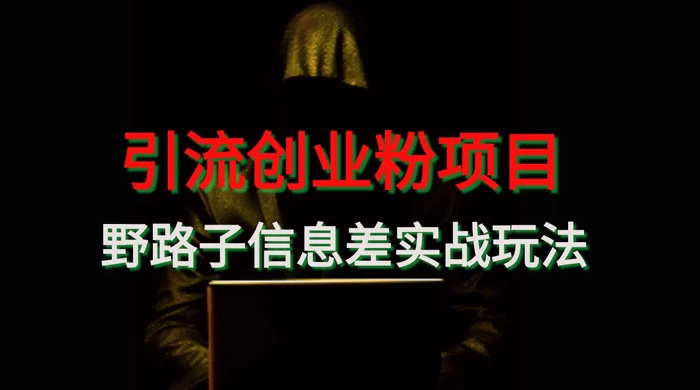 野路子信息差玩法实战教学，引流创业粉 - 灵魂源码网-网站搭建教学-软件开发-小程序源码