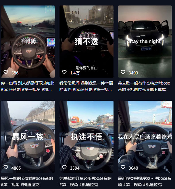 图片[2] - 抖音开车视频项目：0基础操作，每天五分钟，月入过万 - 灵魂源码网-网站搭建教学-软件开发-小程序源码