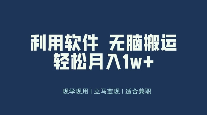 最新蓝海独家玩法，利用软件无脑搬运，小白轻松日入1000＋ - 灵魂源码网-网站搭建教学-软件开发-小程序源码