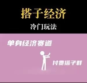 靠搭子经济月入5万每天两小时简单无脑好上手 - 灵魂源码网-网站搭建教学-软件开发-小程序源码