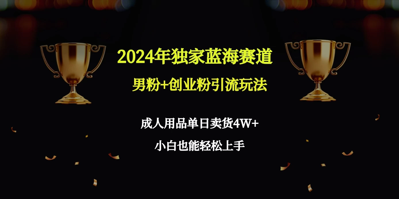 2024独家蓝海赛道,男粉+创业粉引流玩法。 - 灵魂源码网-网站搭建教学-软件开发-小程序源码