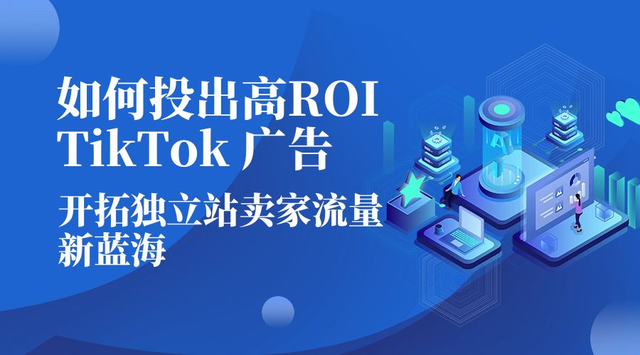 如何投出高 ROI · TikTok 广告：开拓独立站卖家流量新蓝海 - 灵魂源码网-网站搭建教学-软件开发-小程序源码